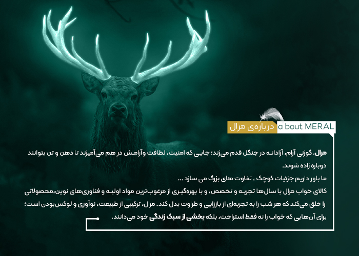 خرید تشک طبی در تهران