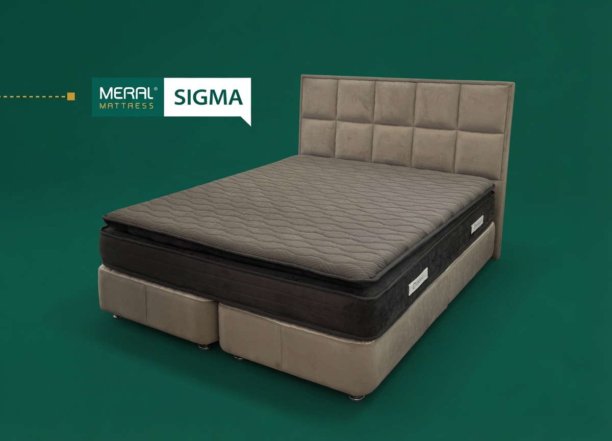 تشک طبی Sigma (سیگما) افیکس